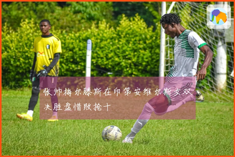 张帅梅尔滕斯在印第安维尔斯女双决胜盘惜败抢十